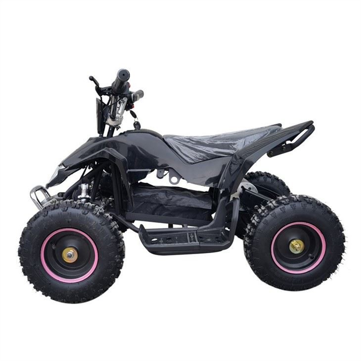 1000w electric quad atv (2)
