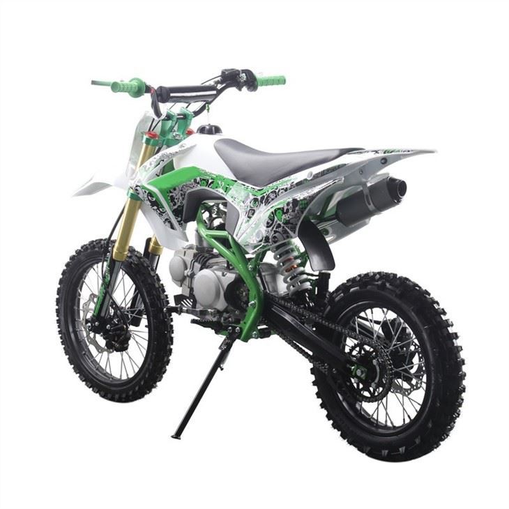 adult pit bike