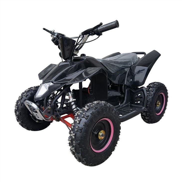 electic quad 800w (2)