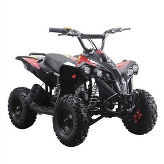 49cc Mini benzinski Quad ATV